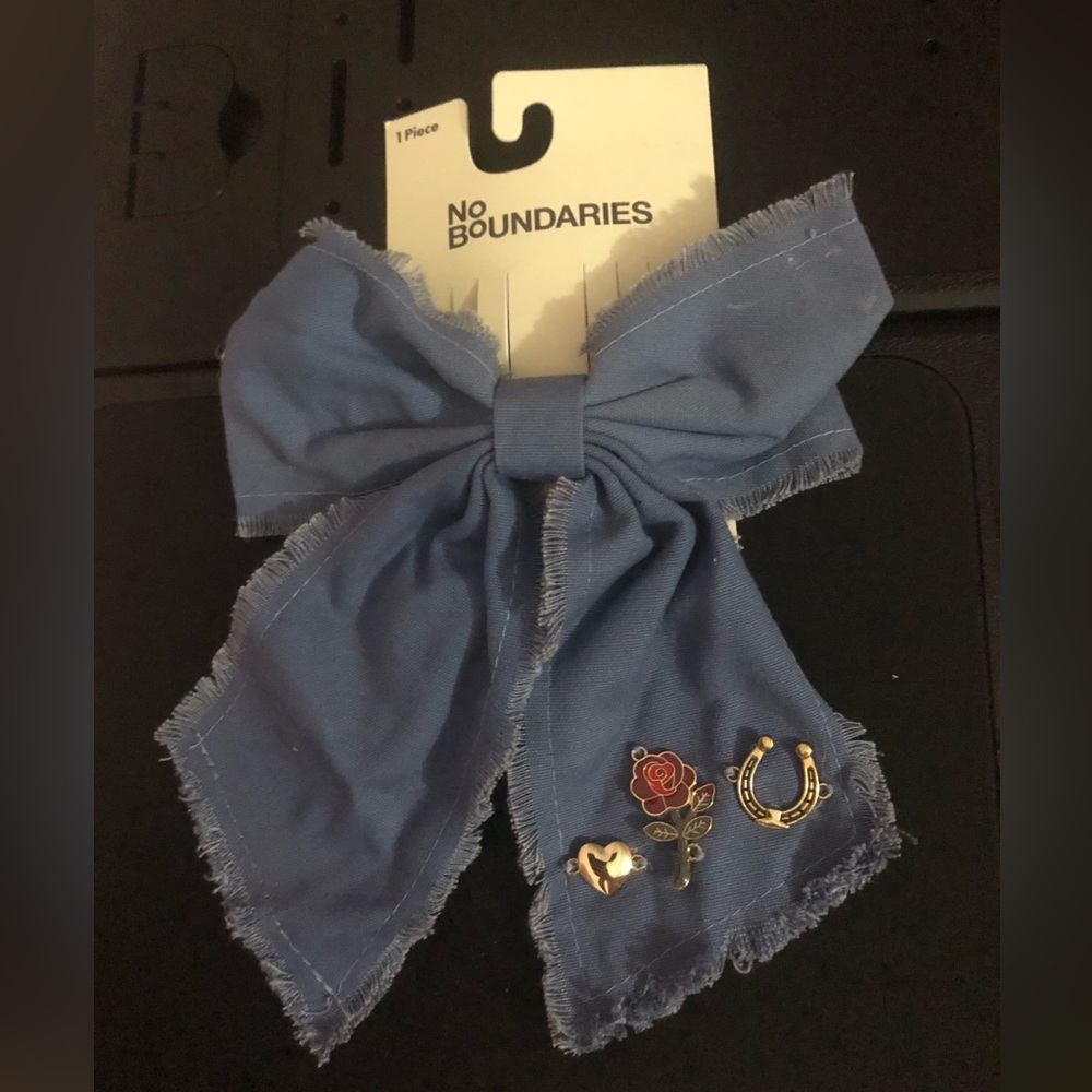 Horse lovers! Cute for a horse show! Blue Fabric Bow Hair Clip with Charm Pins